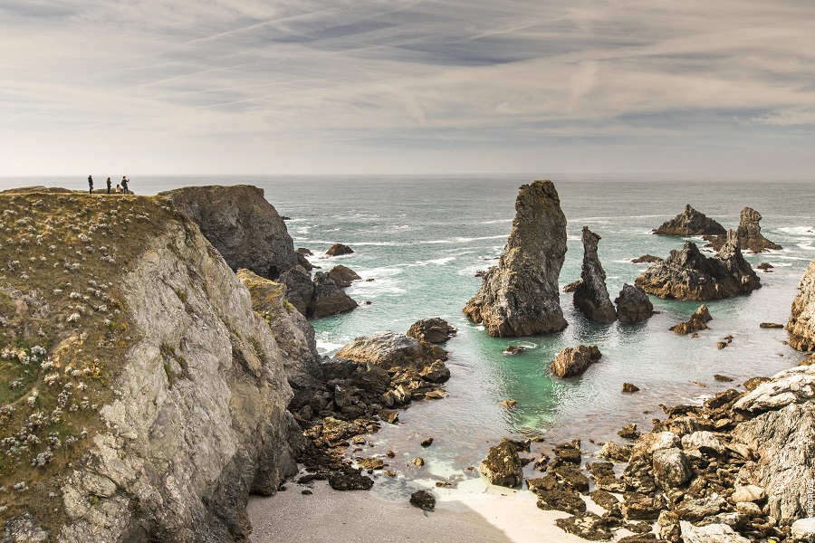 Aiguilles de Port coton