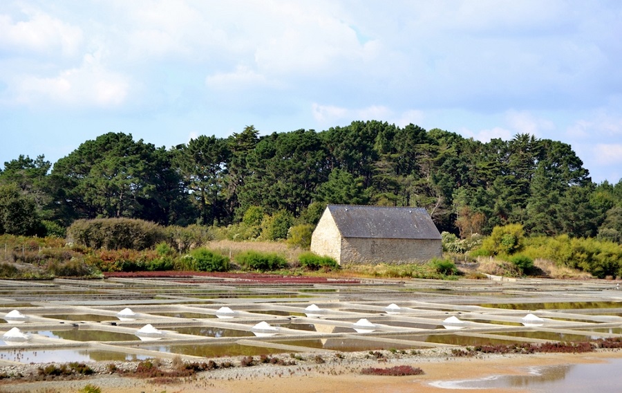 Marais salants Kervillen Trinité sur mer