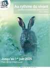 Affiche-expo-Tom-Le-Moing-724x1024