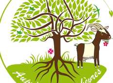 548504952_763960279726746_2995909129482254150_n