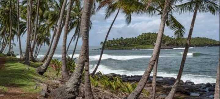 Guyane, une pépite en Amazonie