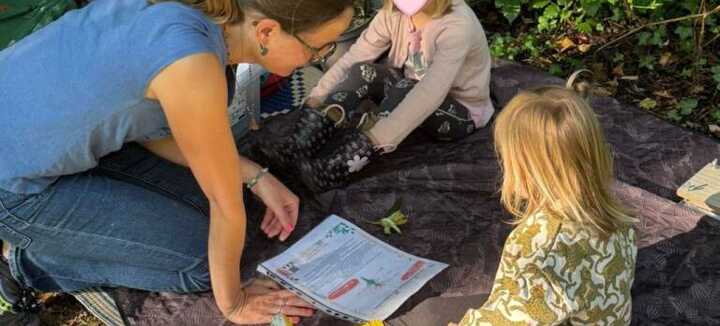 Atelier -  Découvertes des insectes - Créations