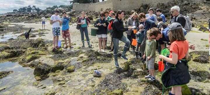 Initiation à la pêche à pied