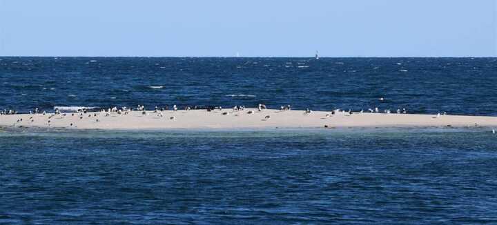 La pointe de Conguel : un site naturel unique ouvert sur l’océan - Dunes Sauvages
