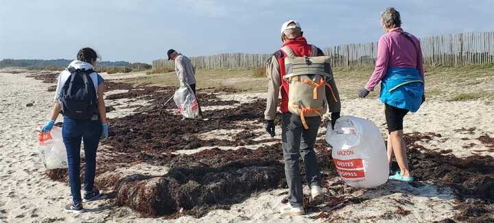 Nettoyage de plage à La Trinité sur Mer
