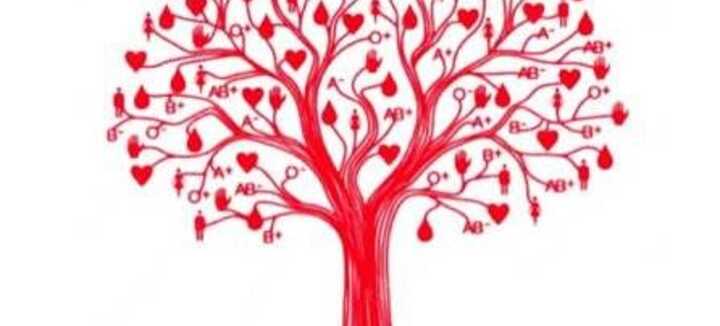 Don de sang Quiberon