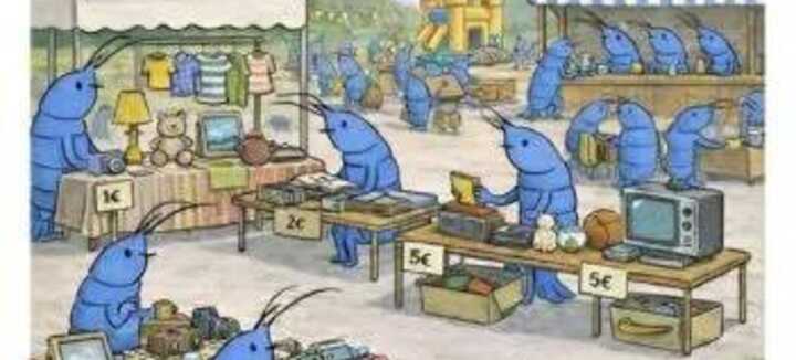 Vide grenier des Crevettes Bleues