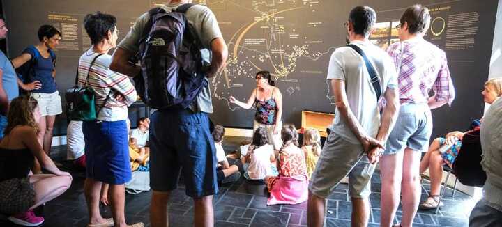 Visite flash "Une merveille du musée"