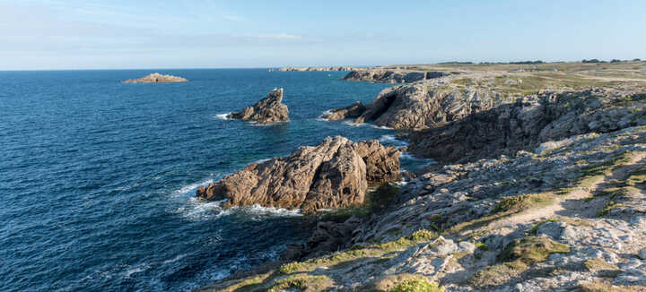 Visite découverte : La Côte Sauvage, un paysage et une biodiversité à couper le souffle