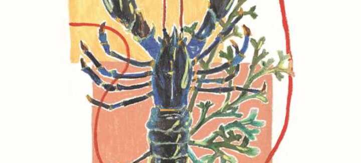 Exposition "Bains salés" par Agathe Perrin