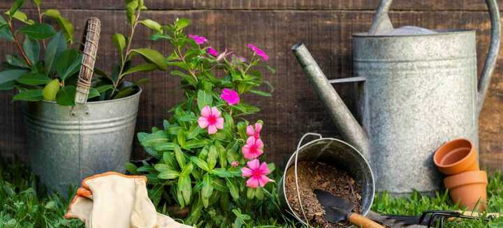 Entretenir son jardin nourricier