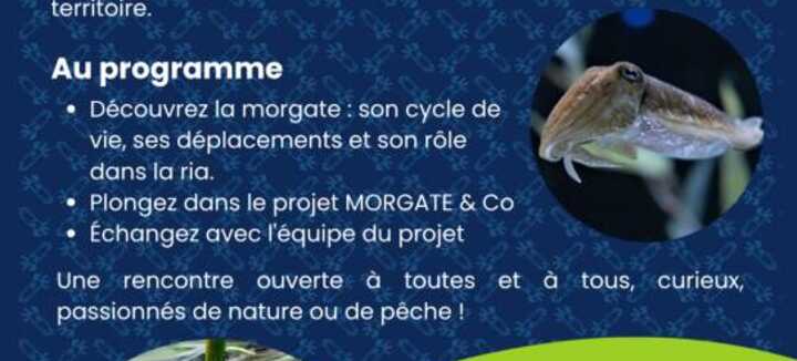 À la découverte de la morgate