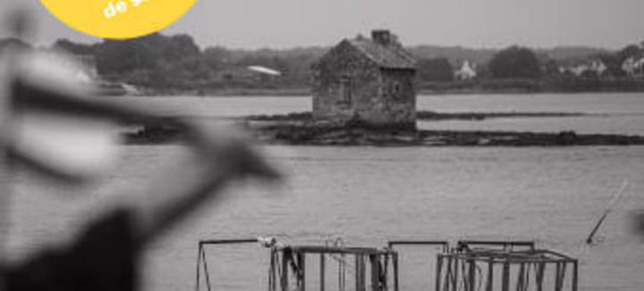 Visite de La Trinité-sur-Mer: patrimoine et langue bretonne