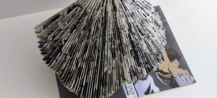 Exposition: Des plis et des livres de Marie Reneaud