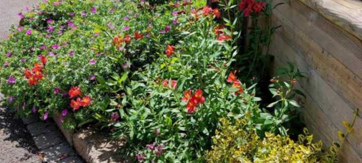 Gîte de La Madeleine