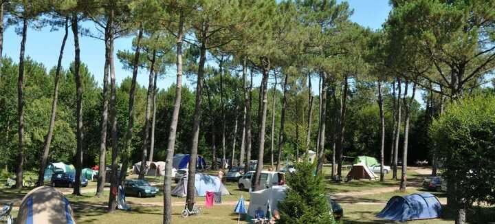 Naturist Camping CNBS La Pinède