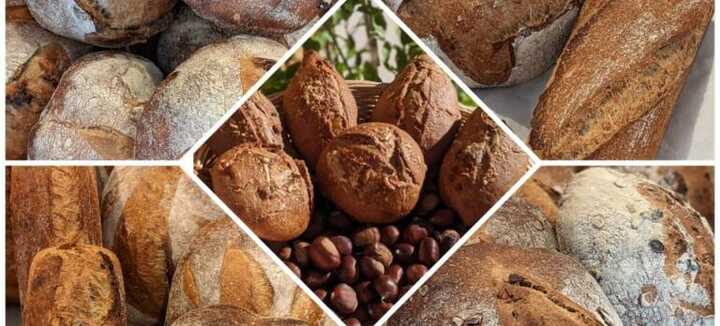 Gaec Fournil de Kerbirio