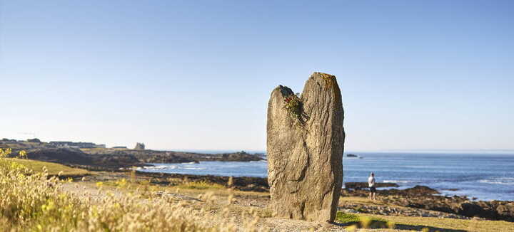 Menhirs de Beg Er Goh Lannec