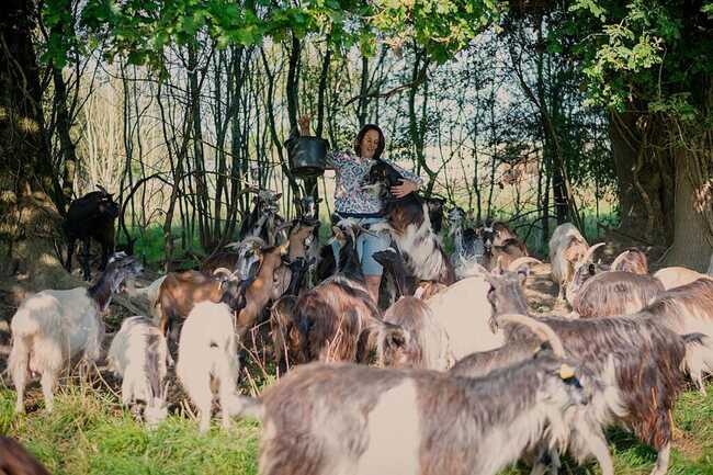 547895925_767107096078731_6508384349815586115_n