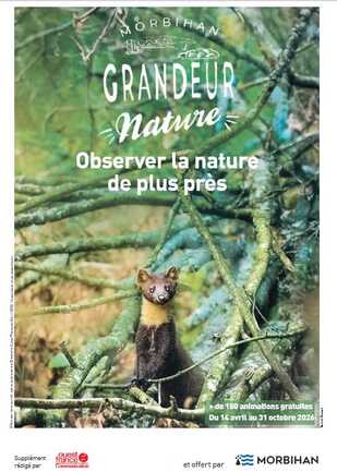 "Morbihan Grandeur Nature" - Secrets d'une ruche 