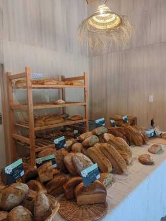 PXL_20250501_152207344.MP