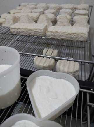 474557709_612467074766339_7112911241855243944_n