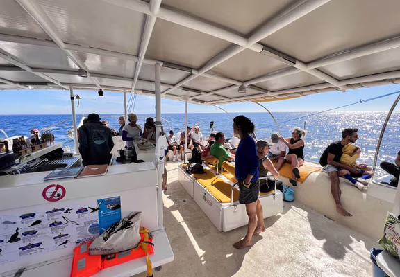IliensQuiberonSorties2