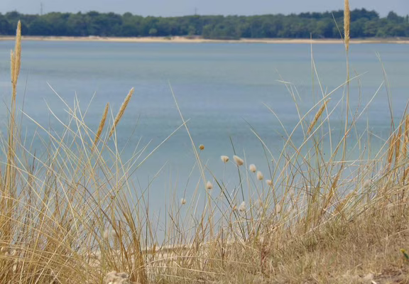 Aire de camping car-5-Plouharnel-Morbihan-Bretagne Sud