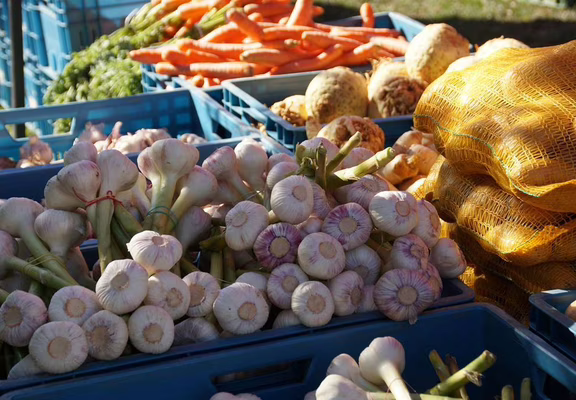 Marché hebdomadaire à Erdeven