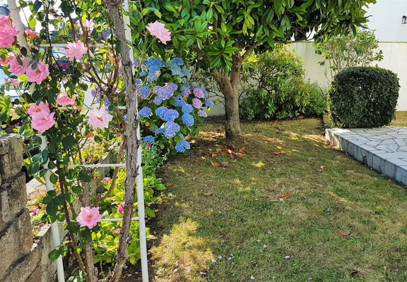 jardin-devant. 1