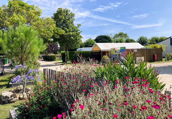 03_Locmariaquer_Camping de la Tour_Camping fleuri