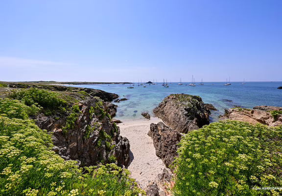 Quiberon_BreizhGo Océane_Ile de Houat