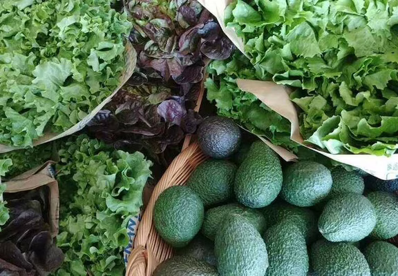 salades