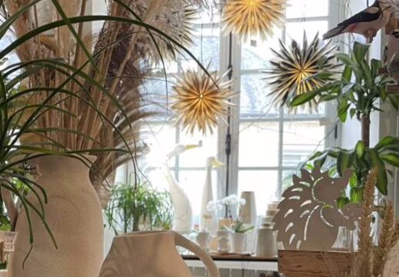 AURAY OXALIS-BOUTIK INTERIEUR
