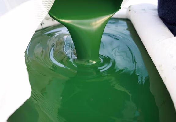 pressage-spiruline-Algo-ria