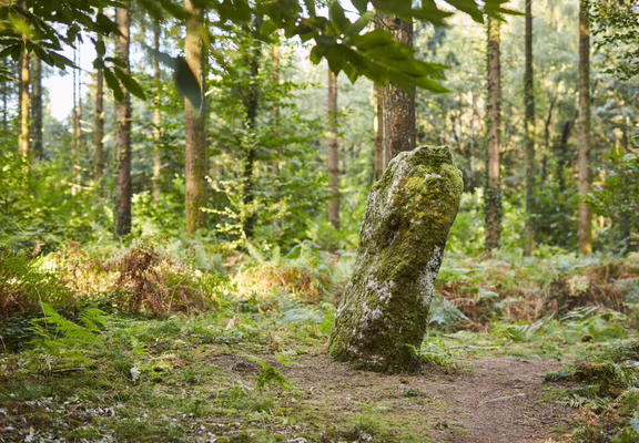 menhir-dresse-foret-camors_1656x1104