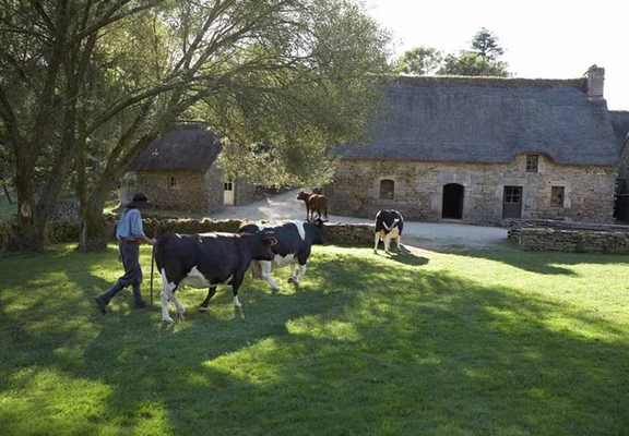 Poul Fetan - Quistinic - Morbihan Bretagne sud