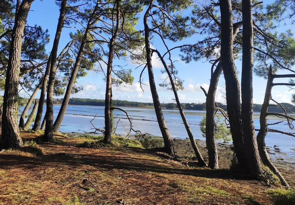 La Cabane de Cadoudal - Huîtres Damerose - LOCOAL MENDON - MORBIHAN  - Bretagne Sud